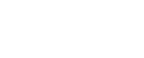 FIR ITALIA